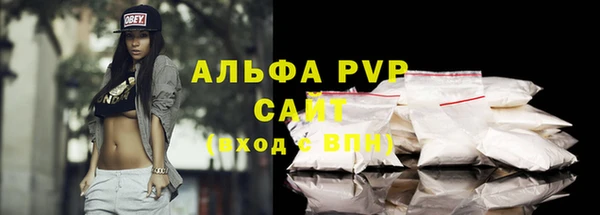 СК Бежецк