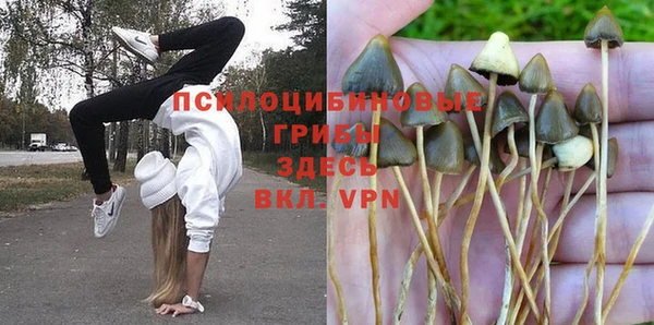PSILOCYBIN Осинники