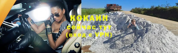 PSILOCYBIN Осинники