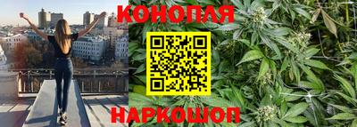 спайс Новодвинск