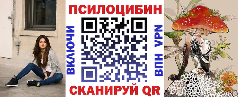 Псилоцибиновые грибы Psilocybine cubensis Рославль