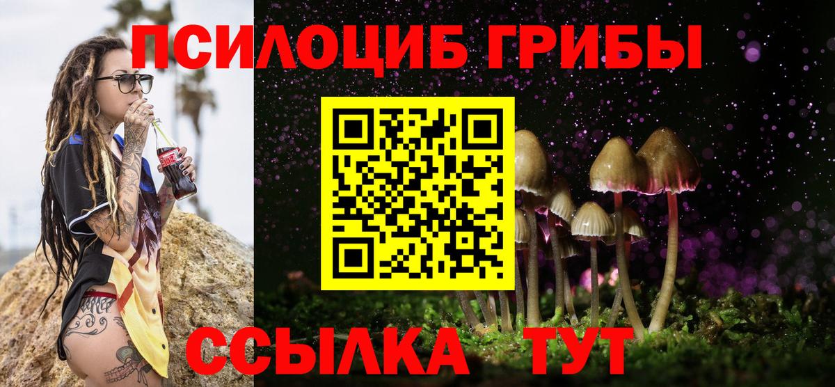 Псилоцибиновые грибы Psilocybe  Вход с VPN  Галлюциногенные грибы MAGIC MUSHROOMS  Рославль 