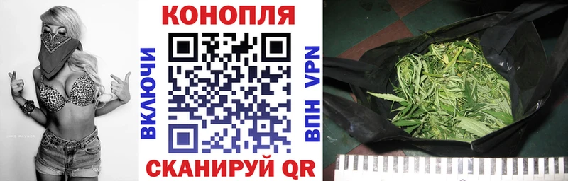 Канабис гибрид  Рославль 